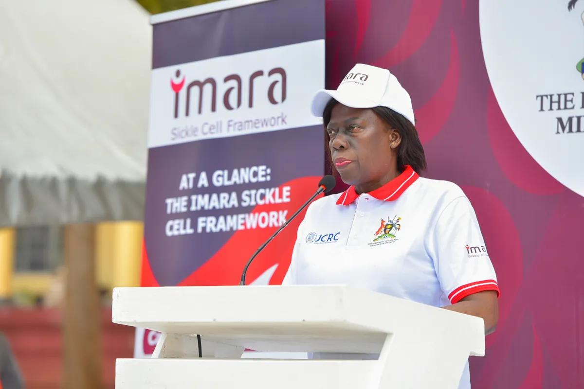 Implementing care at country level